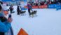 VVF et la FFRandonnée à Megève - chiens sur le depart